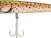 COR RED FIN 1-RAINBOW TROUT