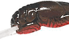 REB WEE CRAW 2" 1/5-TEXAS RED