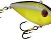 SK RED EYED SHAD CHT BAITFISH