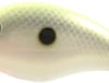 SK BITSY MINO 1/8 1.25" CHT/WHT