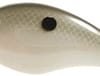 SK BITSY MINO 1/8 1.25" GIZZ SHAD