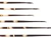 H&H 6" PORCUPINE QUILLS 12PK