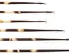 H&H 9" PORCUPINE QUILLS 12PK
