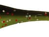 GARLAND 2" BABY SHAD LICORICE/CHT