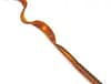 CUL 7.5" WORM 18BG AMBROSIA