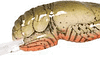 REB BIG CRAW  2 5/8" STREAM CRAW