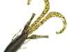 MISS BABY D-STROYER 5" 10PK WTM RED