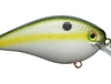 SK KVD SQUARE BILL 1.5 OLIVE SHAD