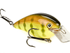 SK KVD 4.0 MAGNUM SQ BILL CHT PERCH