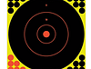 BC SNC 12" BULL'S-EYE TARGET - 12PK