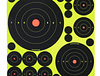 BC SNC BULL'S-EYE TARGETS 5 SHEETS
