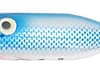 HED TINY TORPEDO 1/4 SIL/BLUE