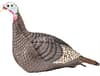 HS STRUT-LITE HEN DECOY
