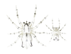 LH PHANTOM SPIDER 2" WHITE WOLF