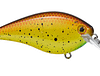 SK KVD 1.5 HARD KNOCK BULLY