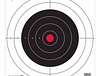 BC EZ-SCORE 12" BULLSEYE PAPER 13PK