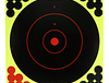BC 8" TARGET DISPENSER 12PK