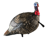AVIAN X LCD 1/4 STRUT JAKE DECOY