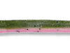 YAMA 5" SENKO RAINBOW TROUT 10PK