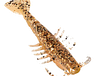 ZMAN SALTY NED SHRIMPZ 2.5" NEW PNY