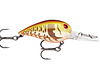 STORM OR WGL WART 05 BRN MUST CRAW