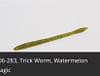 ZOOM TRICK WORM 20BG WAT MAGIC