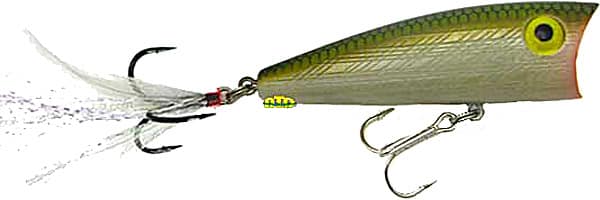REB POP'R 1/4 2.5"-TENN SHAD