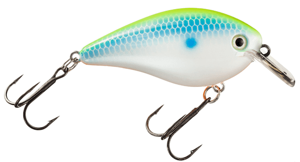 SK KVD DEEP SQUAREBILL CITRUS SHAD