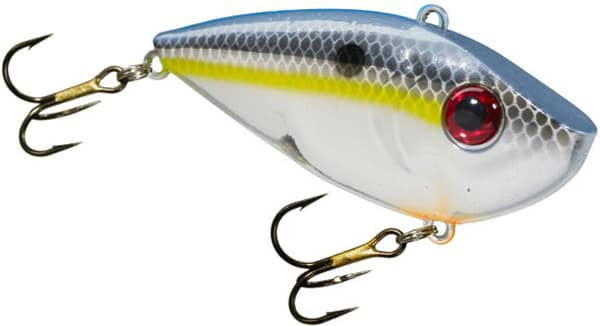 SK REDEYE SHAD 1/2 CHROME SEXYSHAD