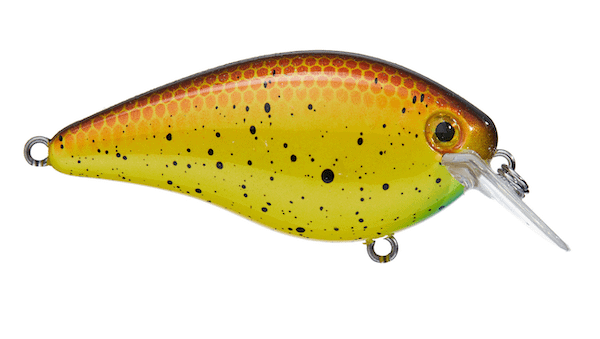 SK KVD 1.5 HARD KNOCK BULLY