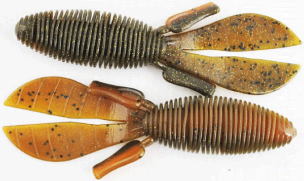 MISS D BOMB 4.5" 6PK GOLD AMBER