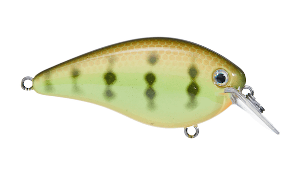 SK KVD 1.5 HARD KNOCK CHART PERCH